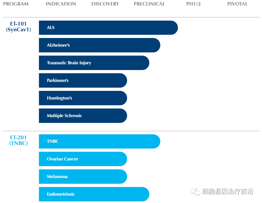 Eikonoklastes基因疗法获得孤儿药认定，有望治疗渐冻症